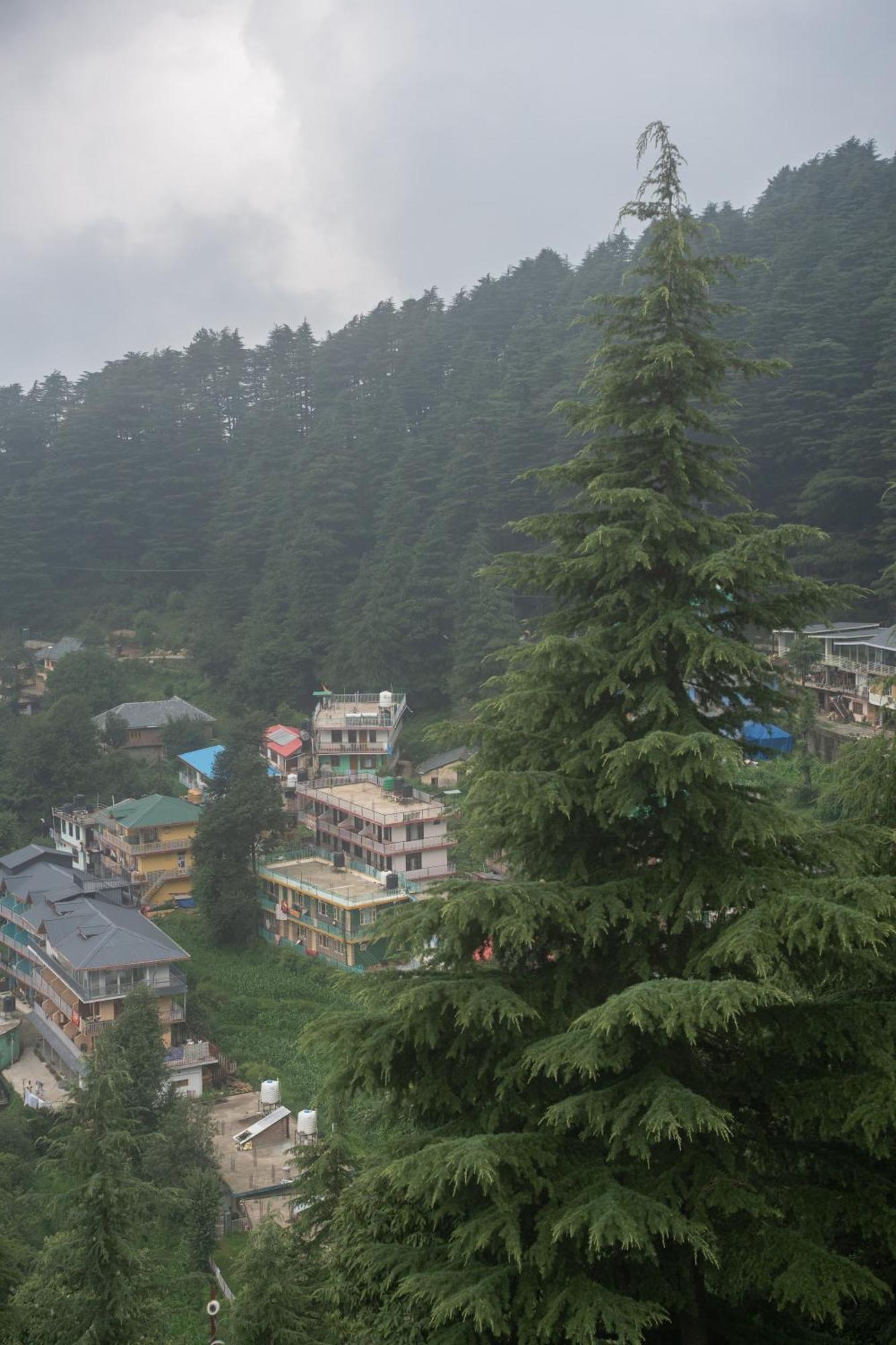 The Unmad - Dharamkot Bed & Breakfast Дхарамсала Екстериор снимка